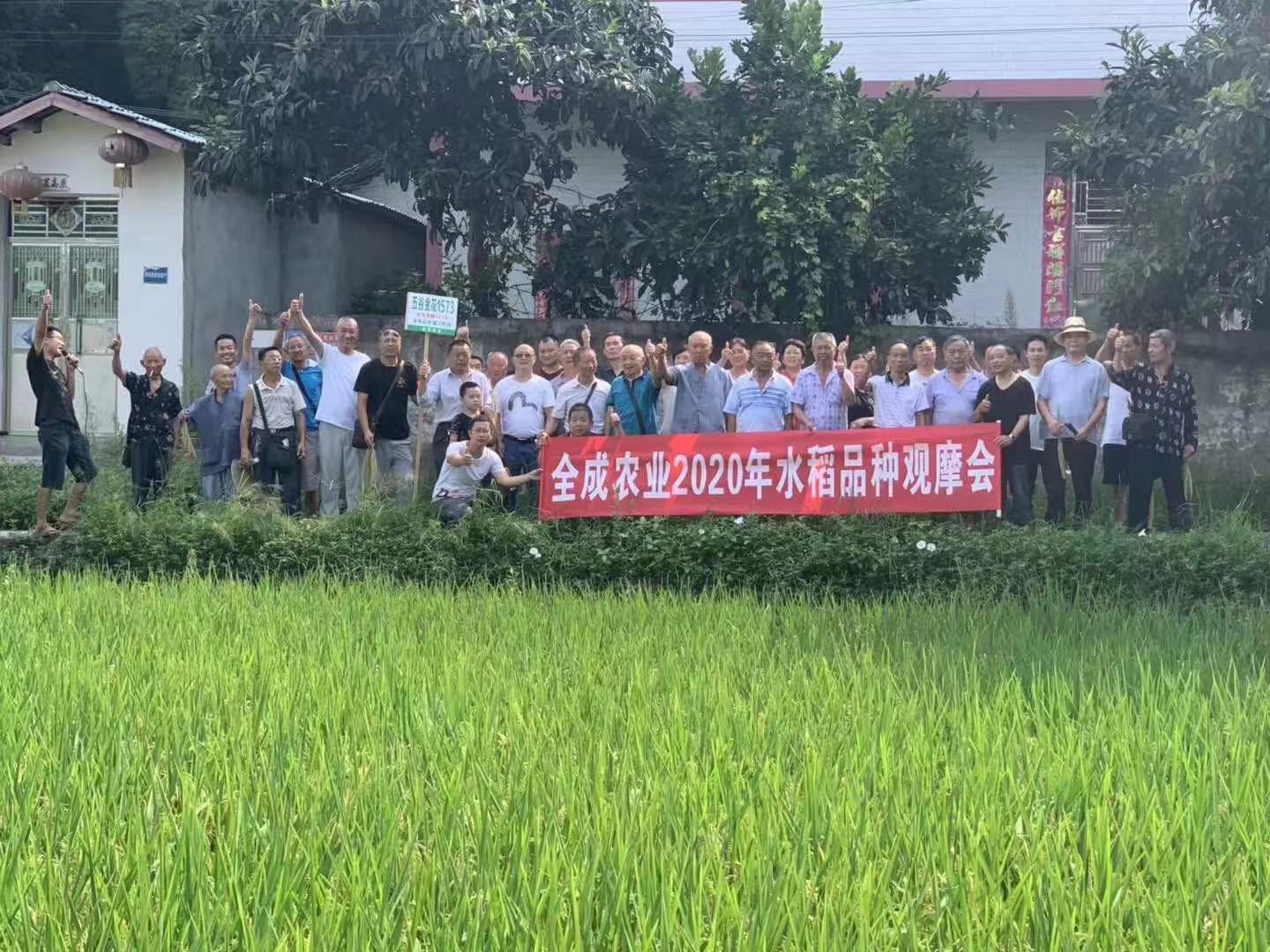 全成農業2020年水稻品種觀摩會8月20日順利召開